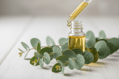 Huile Essentielle Eucalyptus Globulus Bio 10ml - Respiratoire & Purifiant - Home Chic Choc